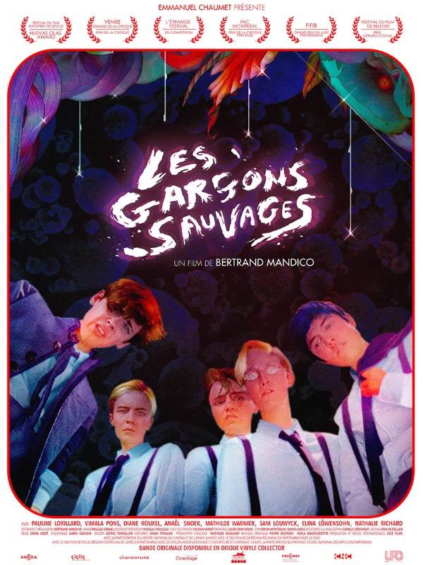 Affiche du film Les Garçons sauvages 16672