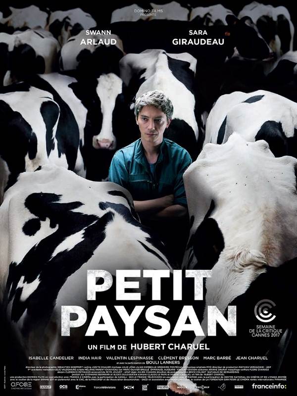 Affiche du film Petit Paysan 15067