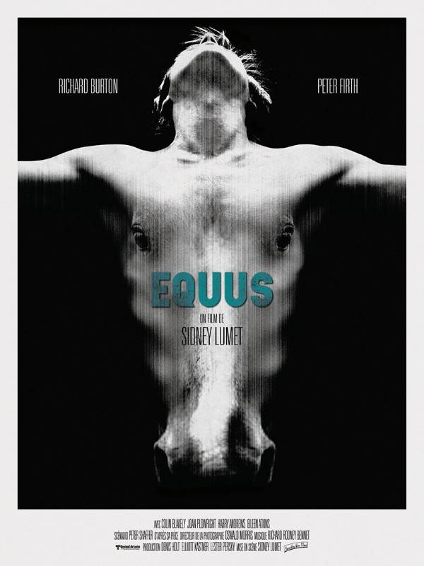 Affiche du film Equus 12313