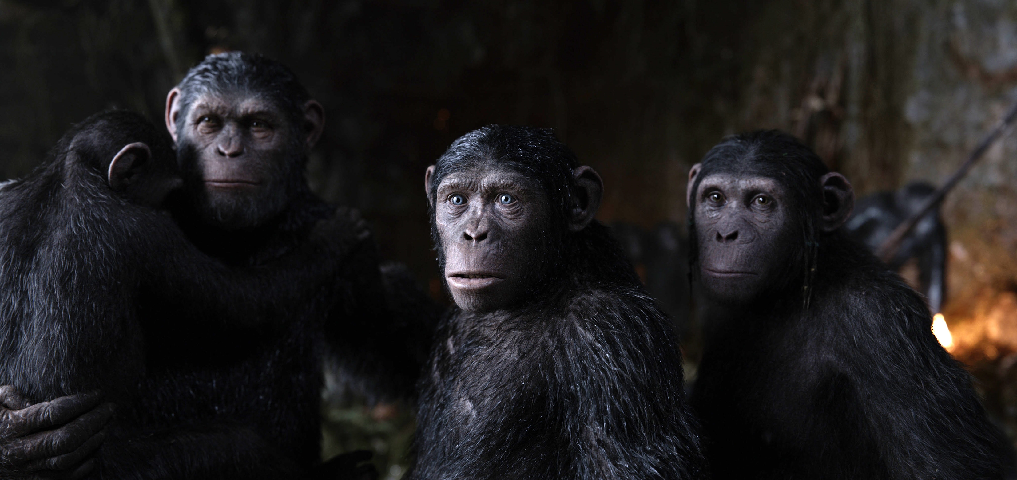 Image du film La Planète des singes : suprématie 940abd93-aac1-4416-b13f-7f865548bedb