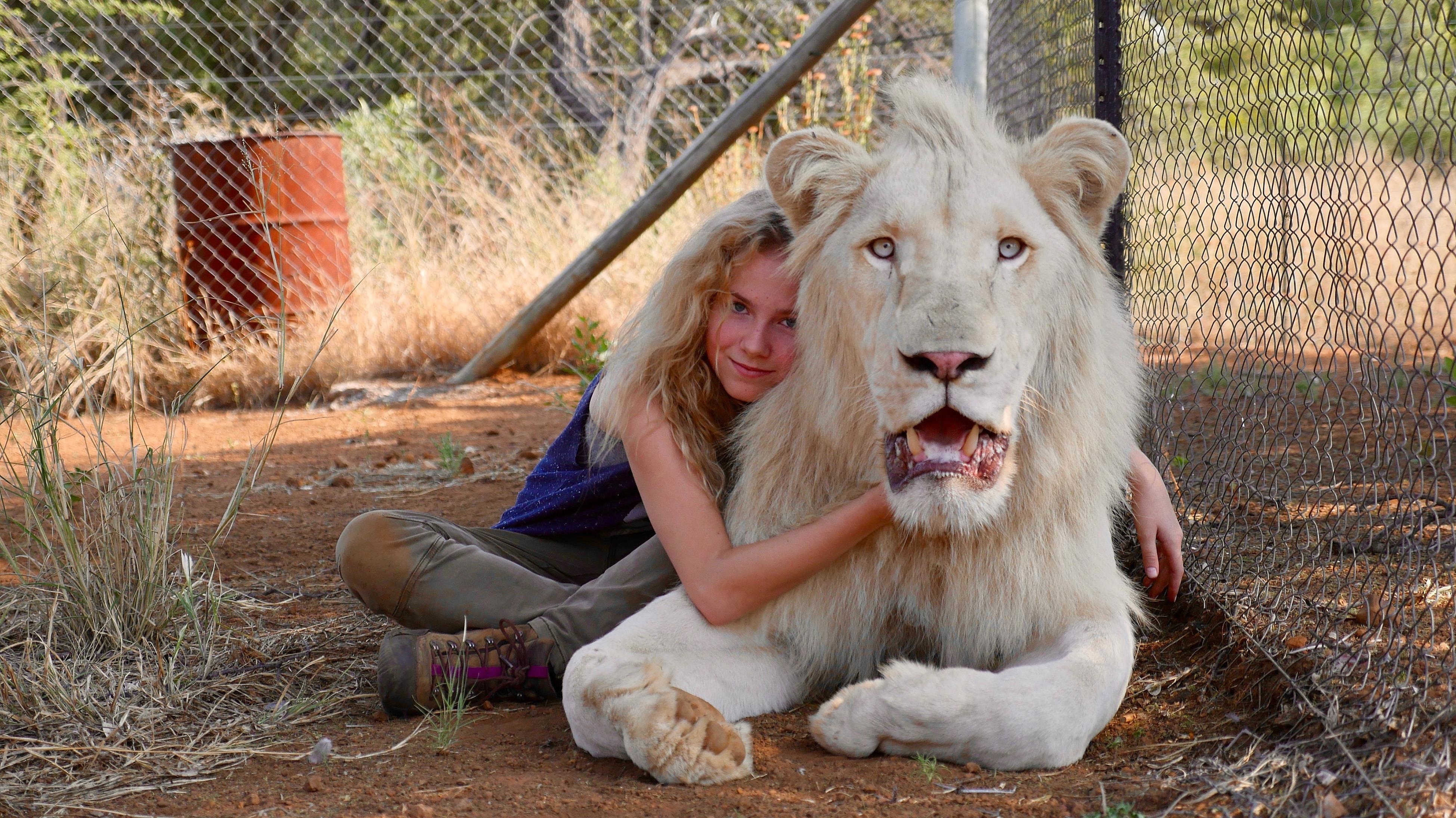 Image du film Mia et le Lion blanc e067f4a9-bf89-4843-a13b-4f906e7ec50c
