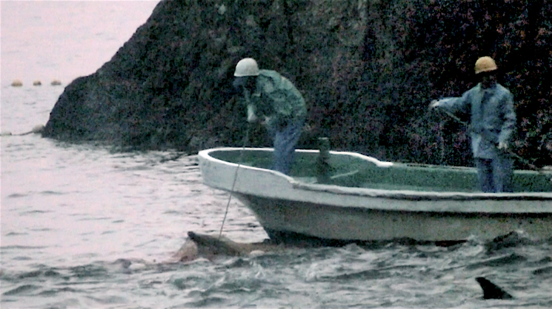 Image du film The Cove : la baie de la honte c1c19d3d-ef5e-4faa-8b46-2f1b118e4830