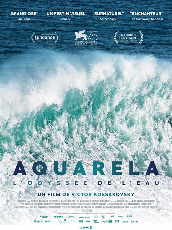 Affiche du film Aquarela : l'odyssée de l'eau 171489