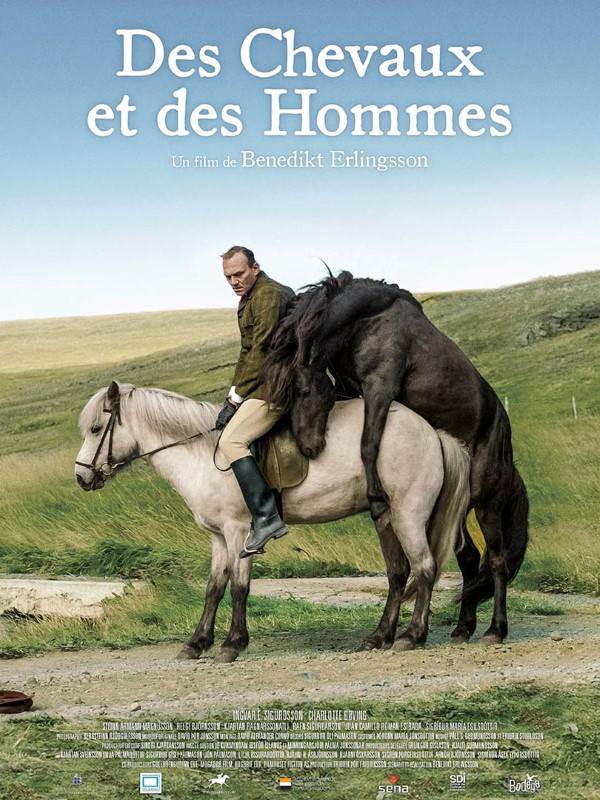 Affiche du film Des chevaux et des hommes 22783
