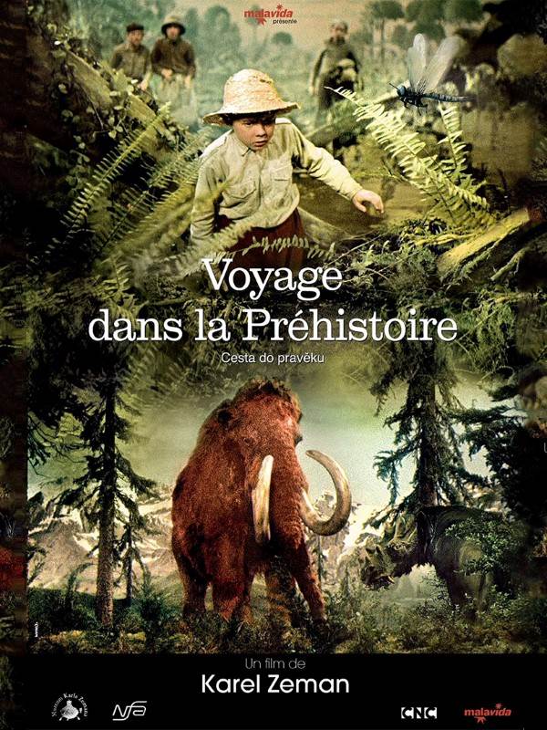 Affiche du film Voyage dans la préhistoire 11255