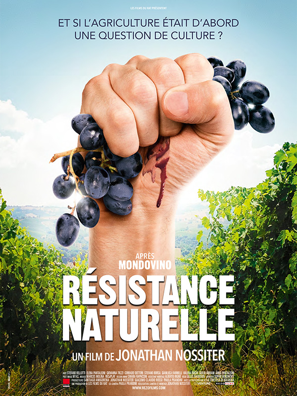 Affiche du film Résistance naturelle 567
