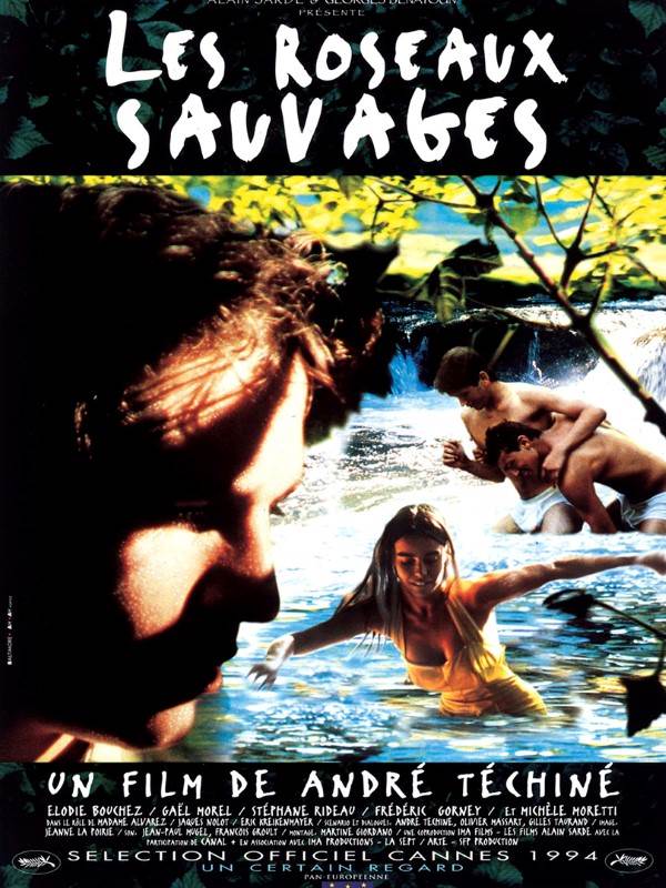 Affiche du film Les Roseaux sauvages 1443