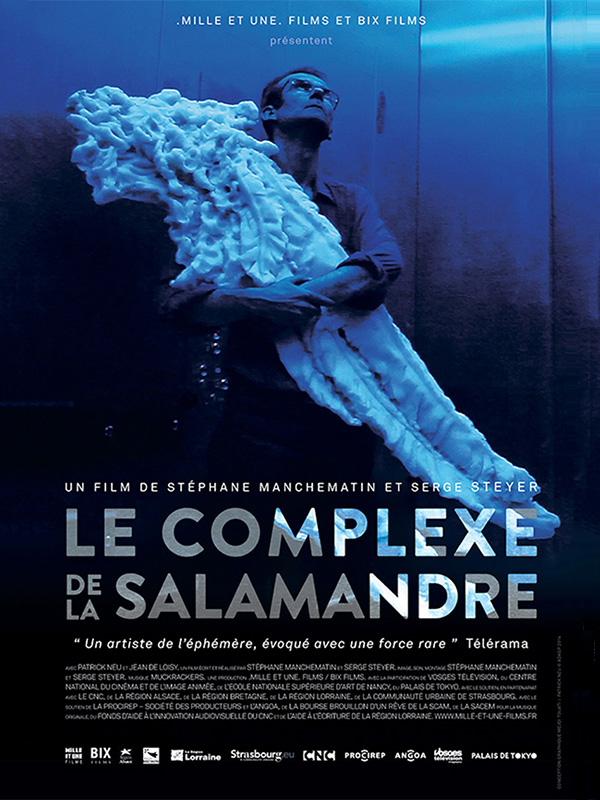 Affiche du film Le Complexe de la salamandre 14764