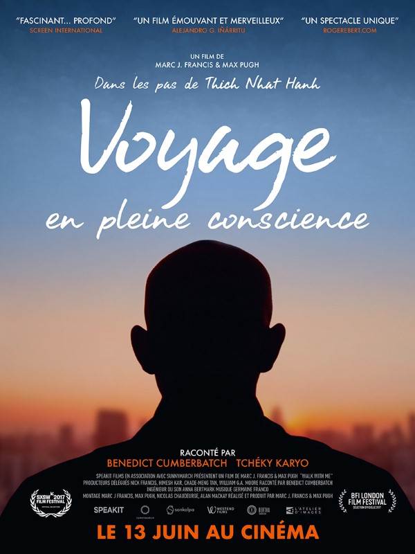 Affiche du film Voyage en pleine conscience 26329