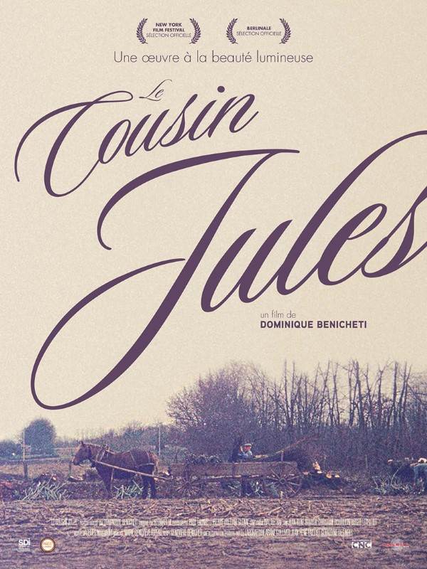 Affiche du film Le Cousin Jules 14351