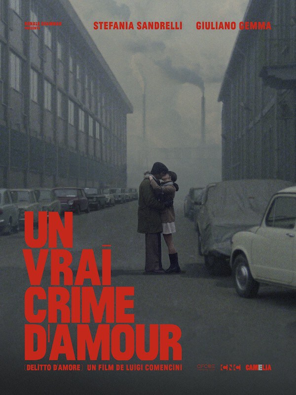 Affiche du film Un Vrai Crime d'Amour 65547