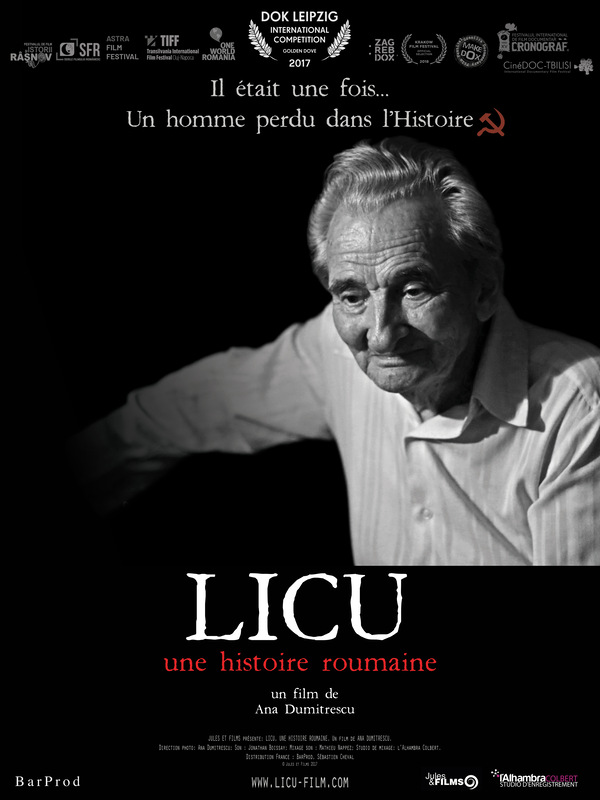 Affiche du film Licu, une histoire roumaine 142487