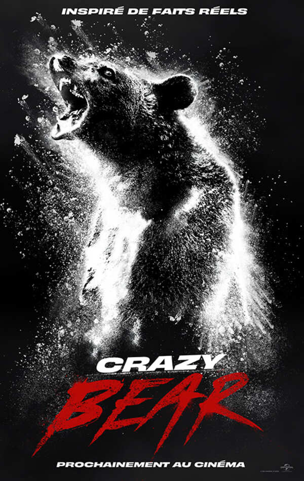 Affiche du film Crazy Bear 193616
