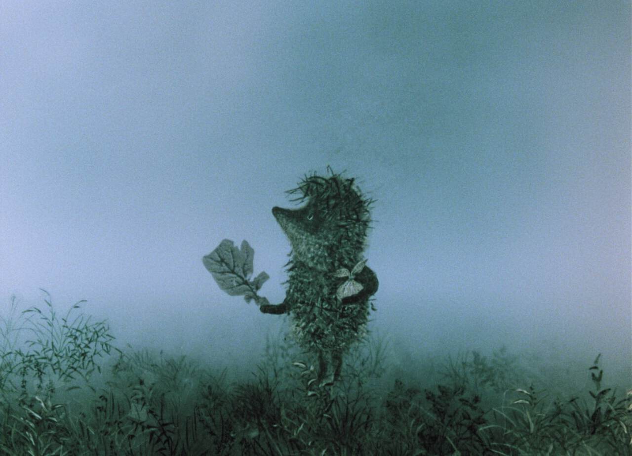 Image du film Le Petit hérisson dans la brume et autres merveilles c7d07f76-913d-4903-9b75-94d092cc5f67