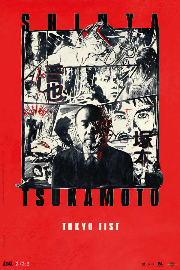 Affiche du film Tokyo Fist 73367