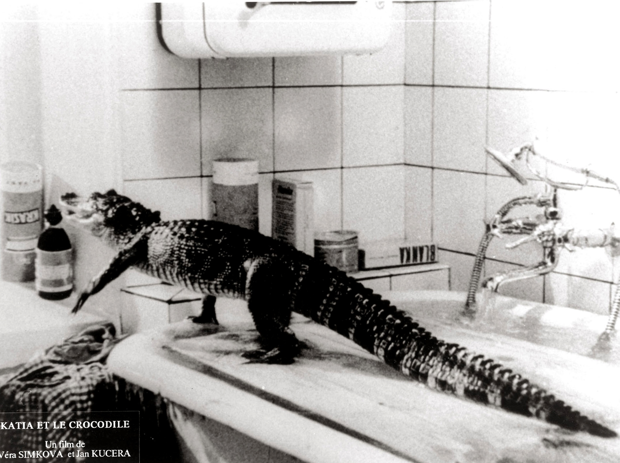 Image du film Katia et le Crocodile 4b3d192f-d191-470e-b58d-d125de76980f