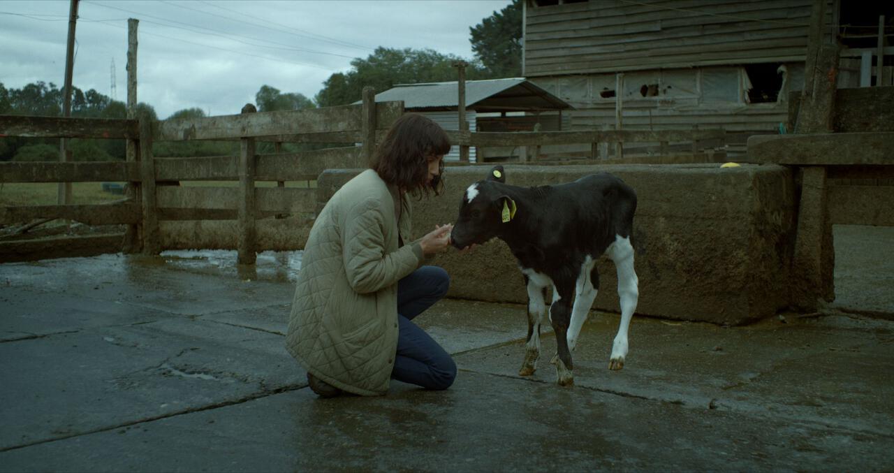 Image du film La vache qui chantait le futur 75287