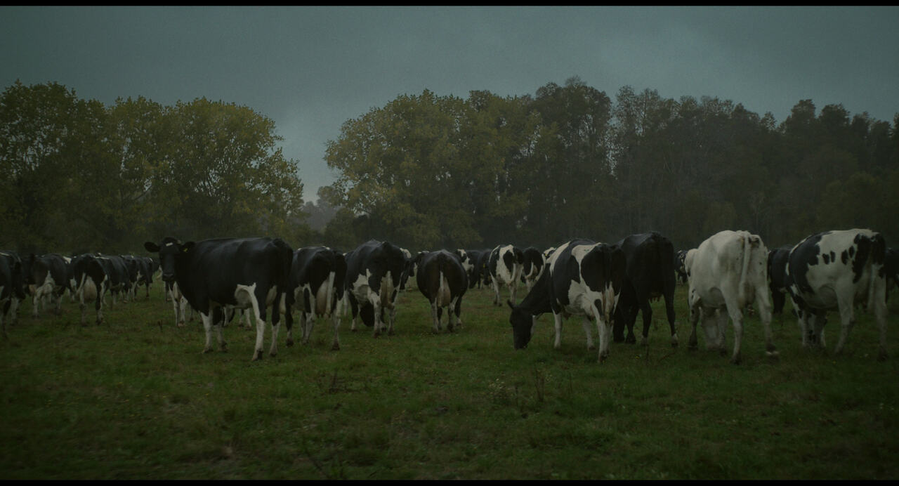 Image du film La vache qui chantait le futur f1820cf5-5979-416b-9a11-b1b676c9b7c1