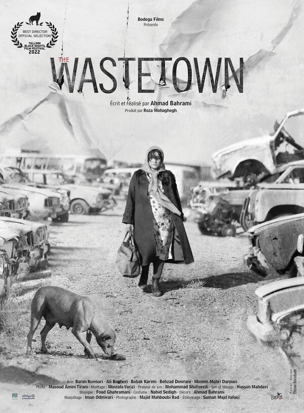 Affiche du film the wastetown 193938