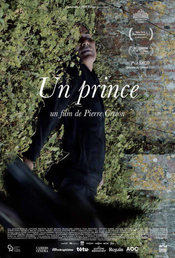 Affiche du film Un prince 194037