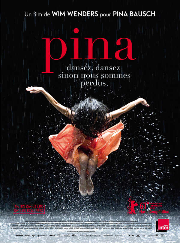 Affiche du film Pina 11383