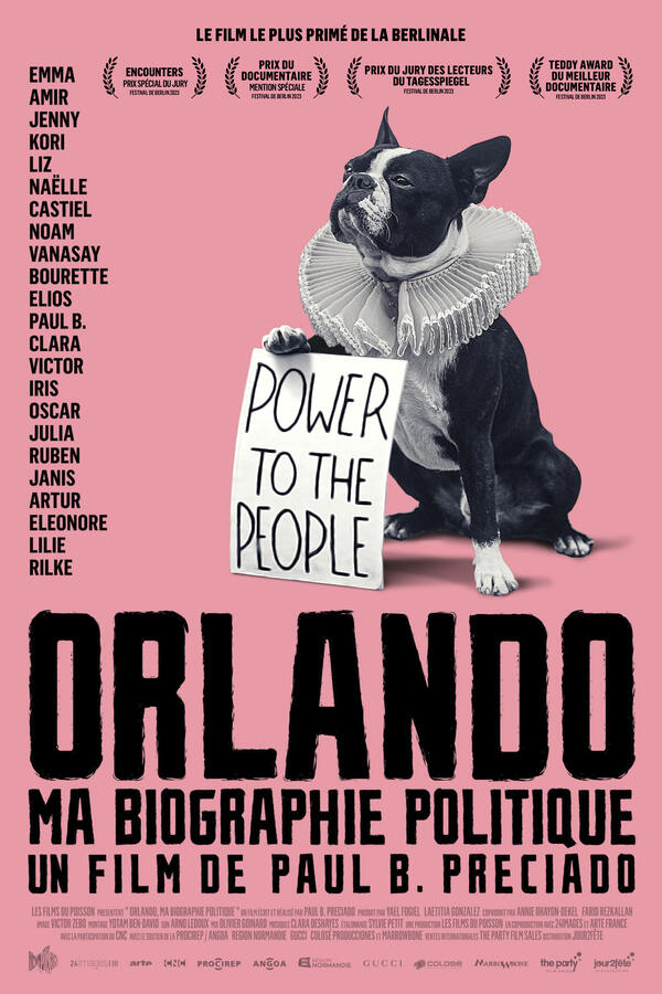 Affiche du film Orlando, ma biographie politique 194131