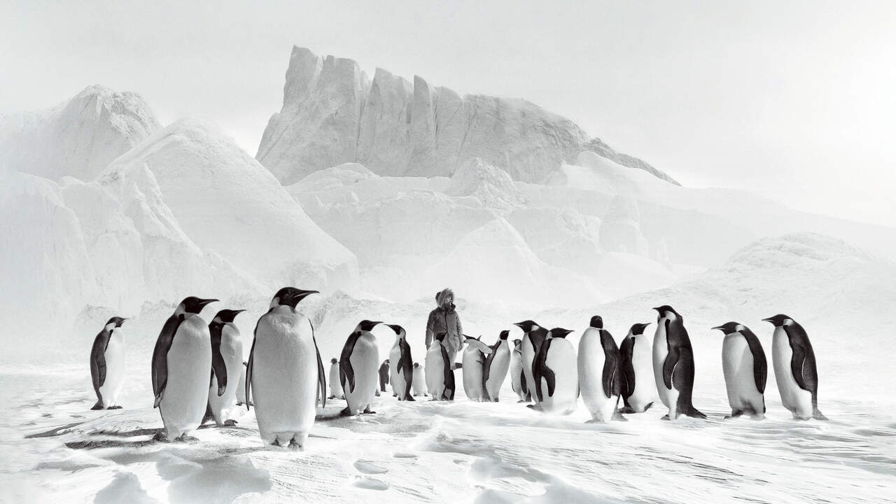 Image du film Voyage au pôle sud c6d632d9-7b7a-4281-b878-7b00c1304c1c