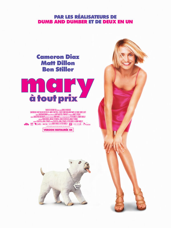 Affiche du film Mary à tout prix 140065