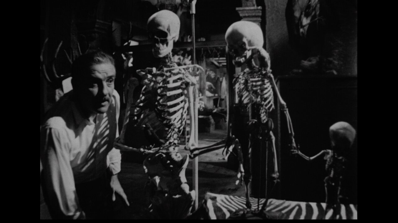 Image du film Le squelette de Madame Morales ff9c6b02-88ea-4b30-b45d-b72d462c4c02